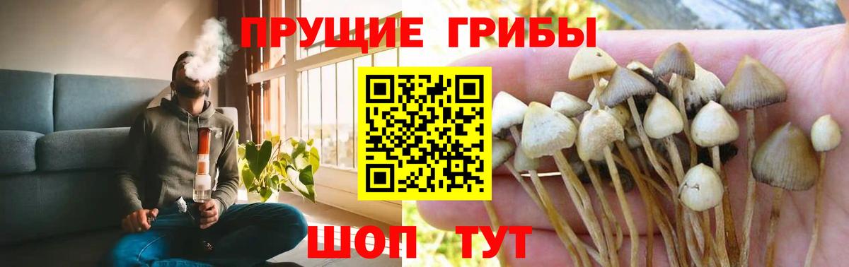 Псилоцибиновые грибы Magic Shrooms  Вход с VPN  Хасавюрт  Галлюциногенные грибы прущие грибы 